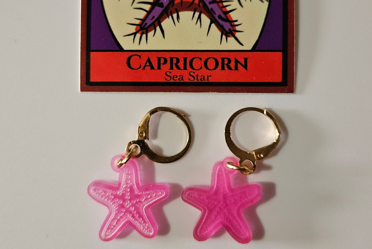 Capricorn Sea Star Stitch Markers