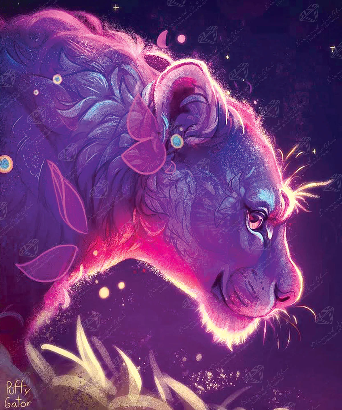 Diamond Painting Kits