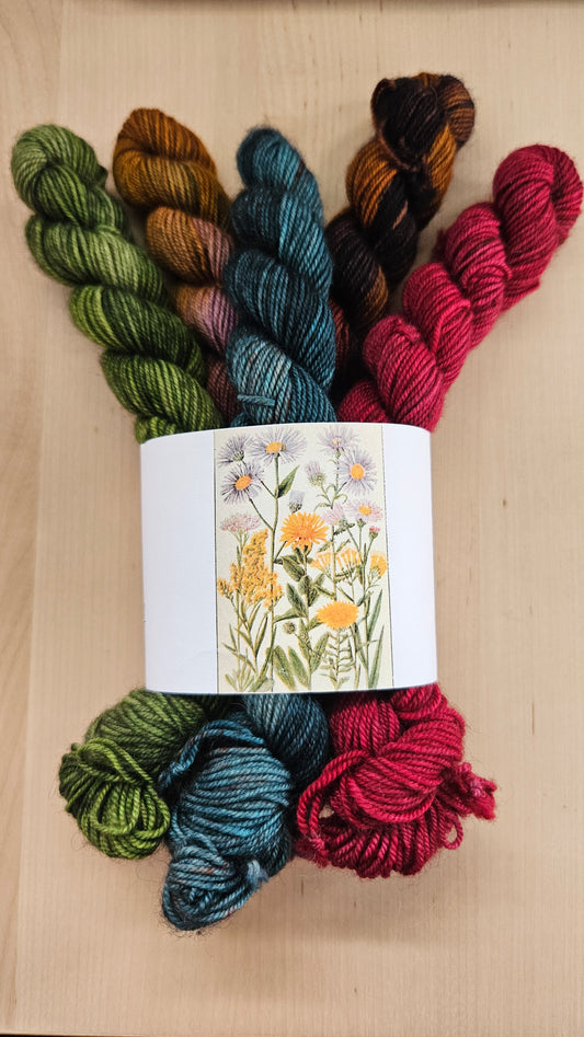 Ex Libris Fibers Mini Skein Set