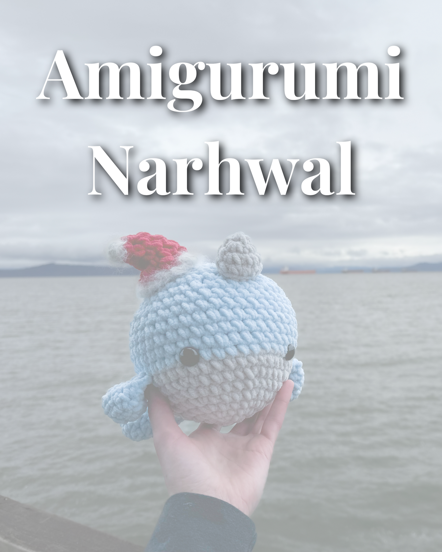 Narwhal Amigurumi Crochet Class with Riley