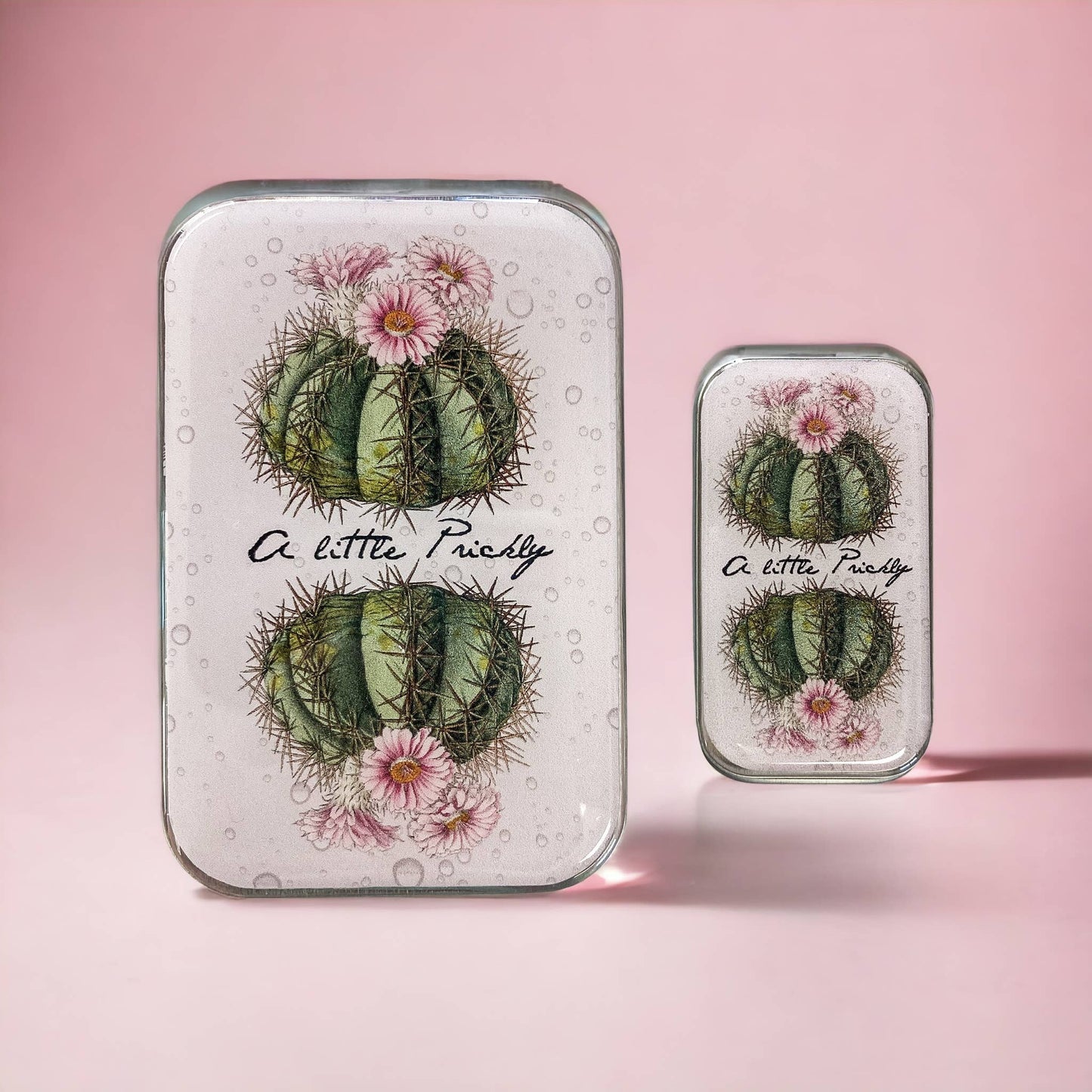 Cactus notions tin