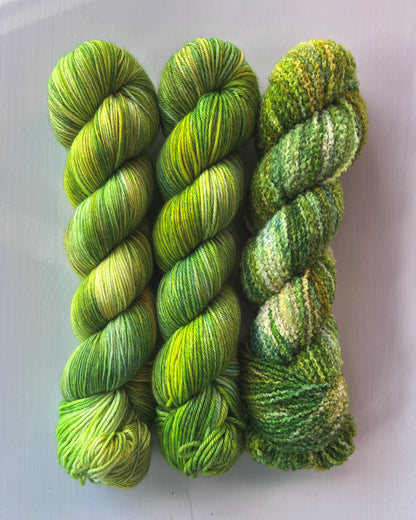 Sagittarius - Sea Turtle