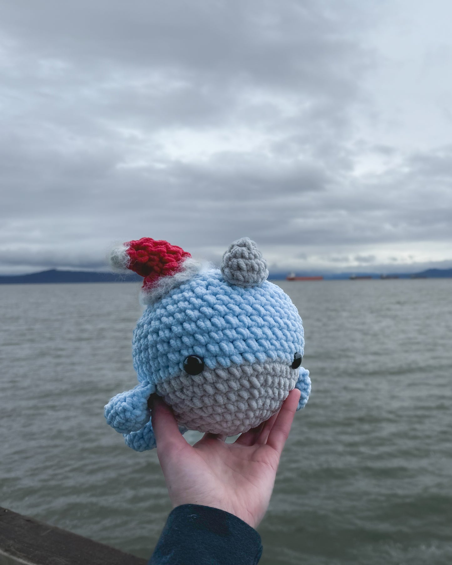 Narwhal Amigurumi Crochet Class with Riley