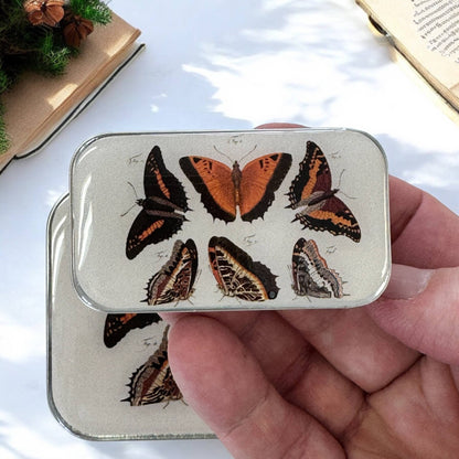 Orange Butterflies Notions Tin