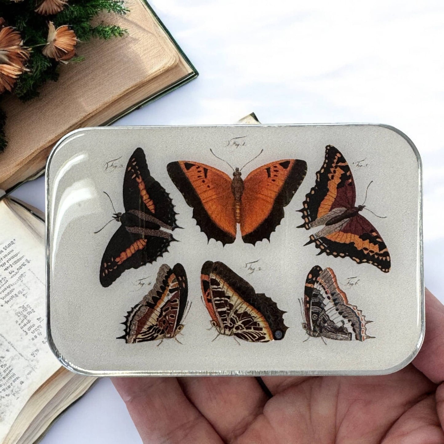 Orange Butterflies Notions Tin